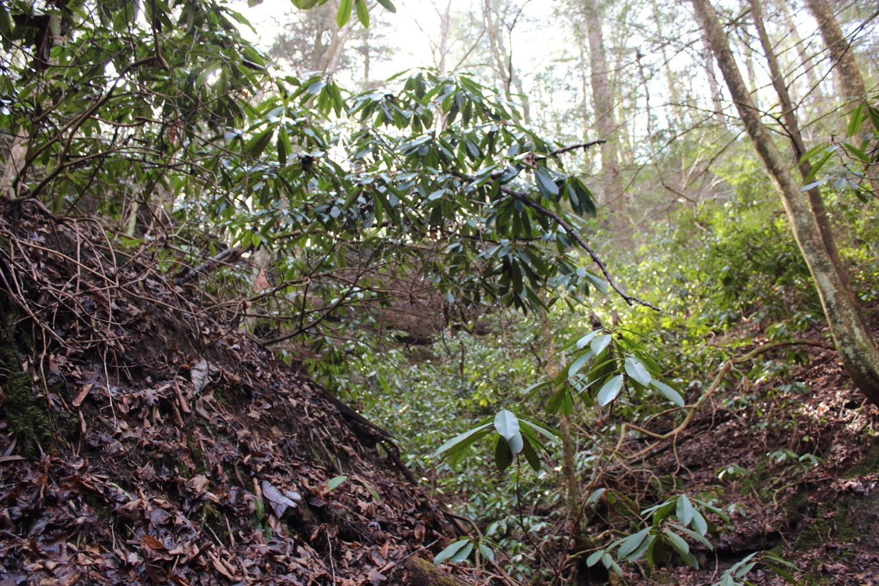 waterfalls_for_sale_sbtr17ar_028 LandStruck