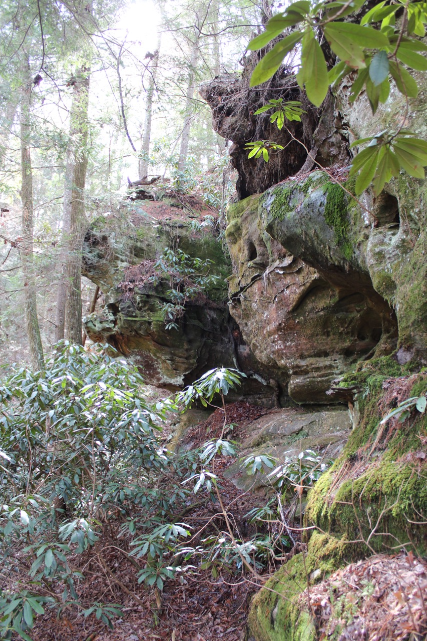 waterfalls_for_sale_sbtr17ar_069 LandStruck