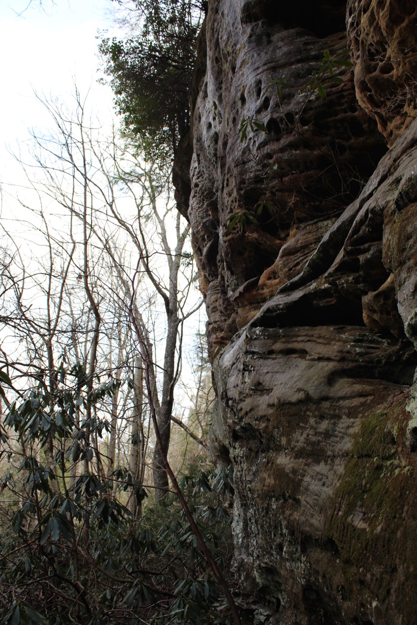 waterfalls_for_sale_sbtr17ar_089 LandStruck