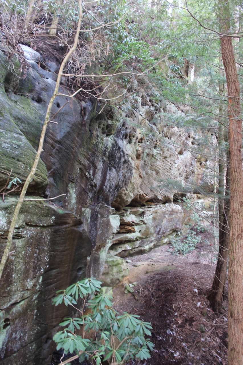 waterfalls_for_sale_sbtr17ar_090 LandStruck