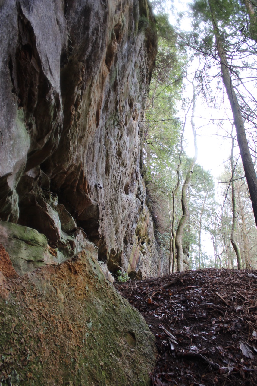 waterfalls_for_sale_sbtr17ar_097 LandStruck