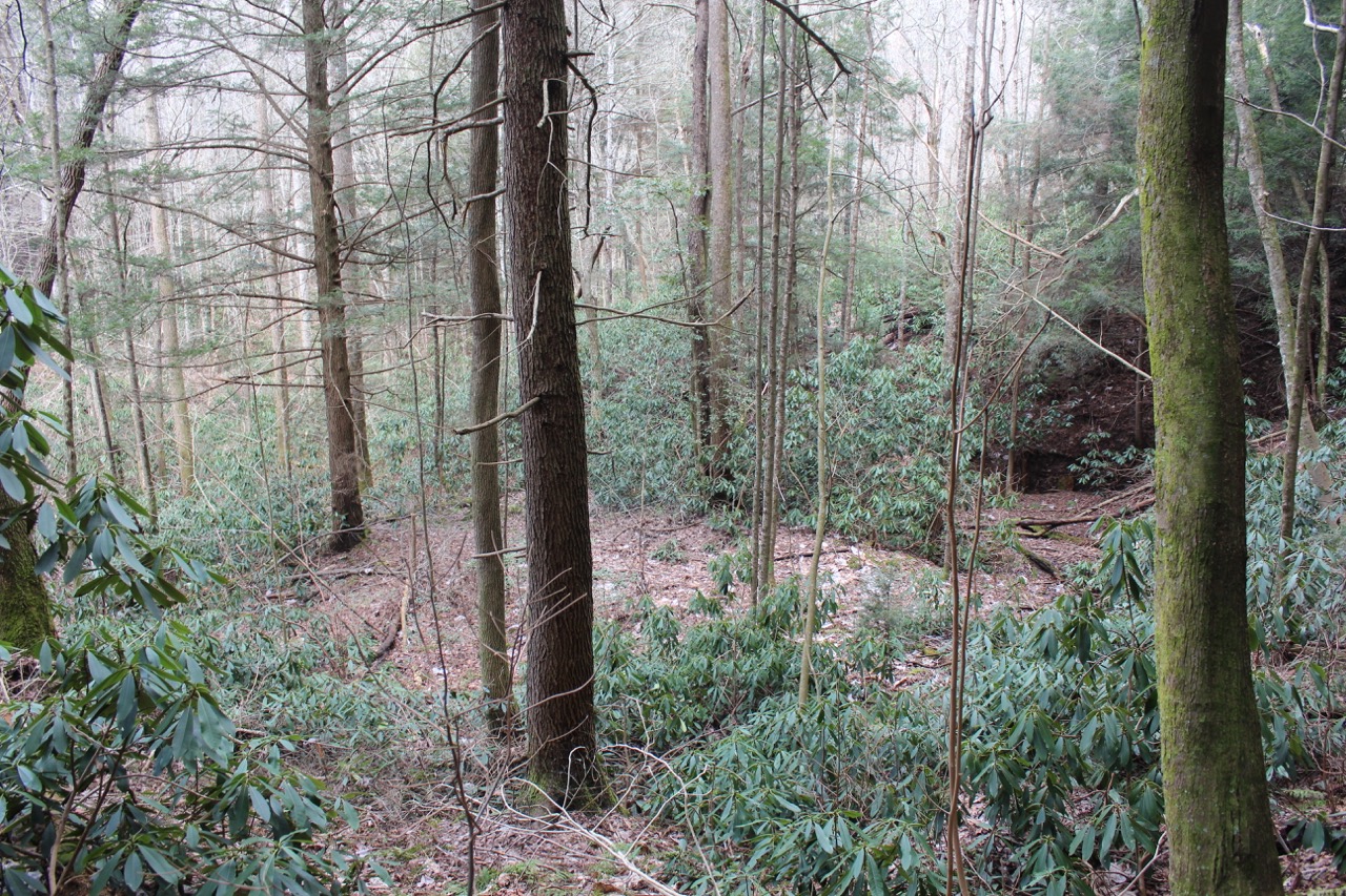 waterfalls_for_sale_sbtr17ar_101 LandStruck