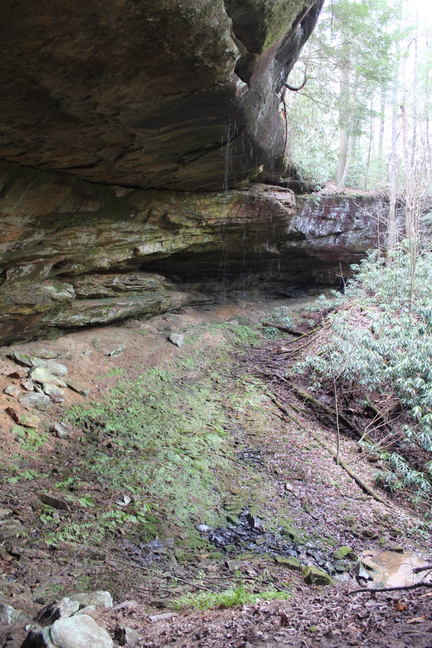 waterfalls_for_sale_sbtr17ar_205 LandStruck