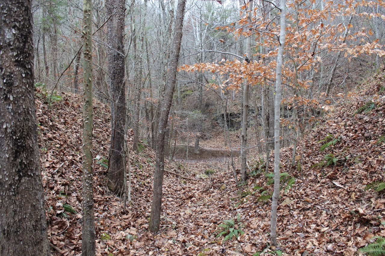 Land_For_Sale_With_Cave_048 LandStruck