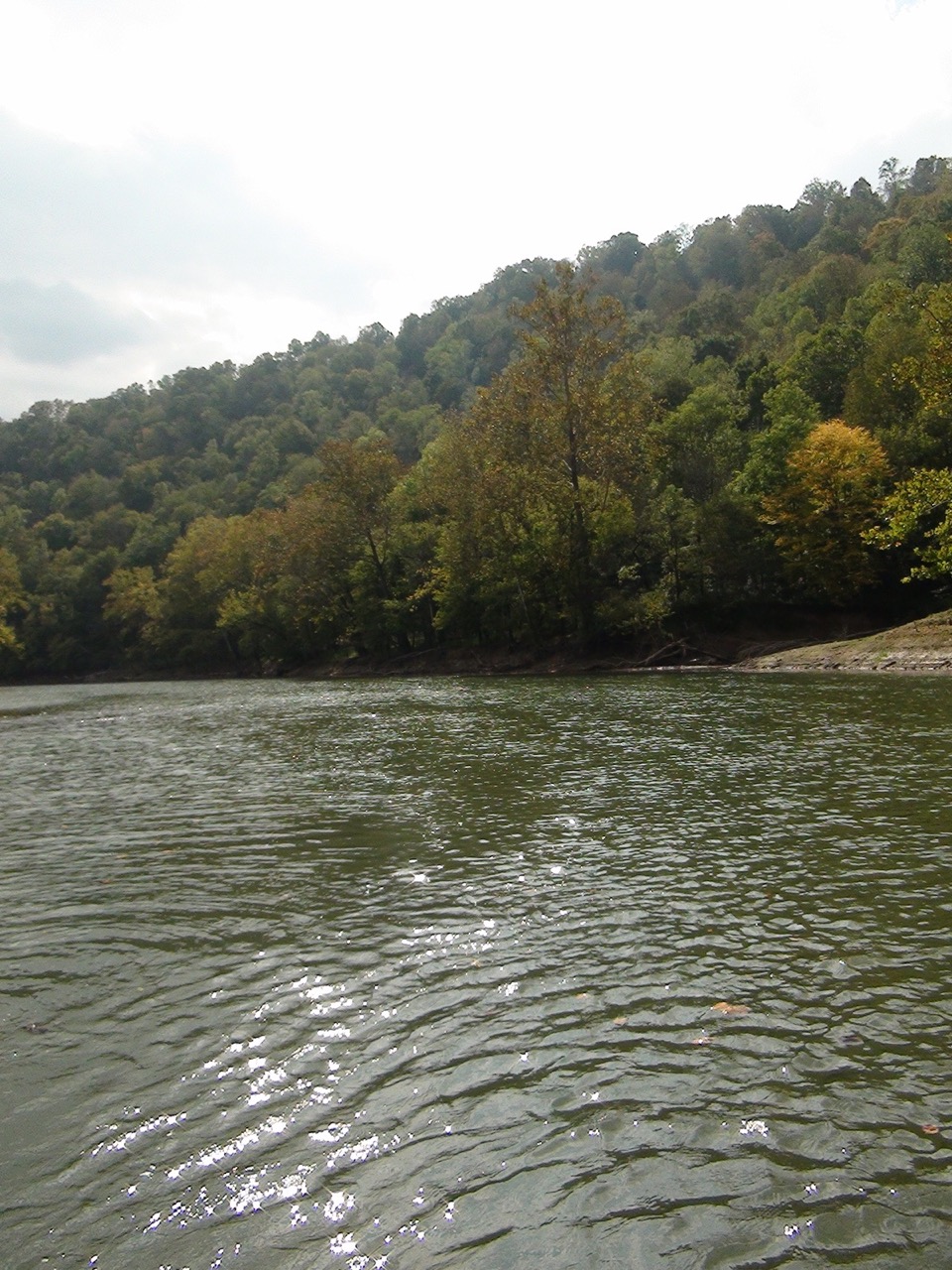 landonlakenorris03 LandStruck