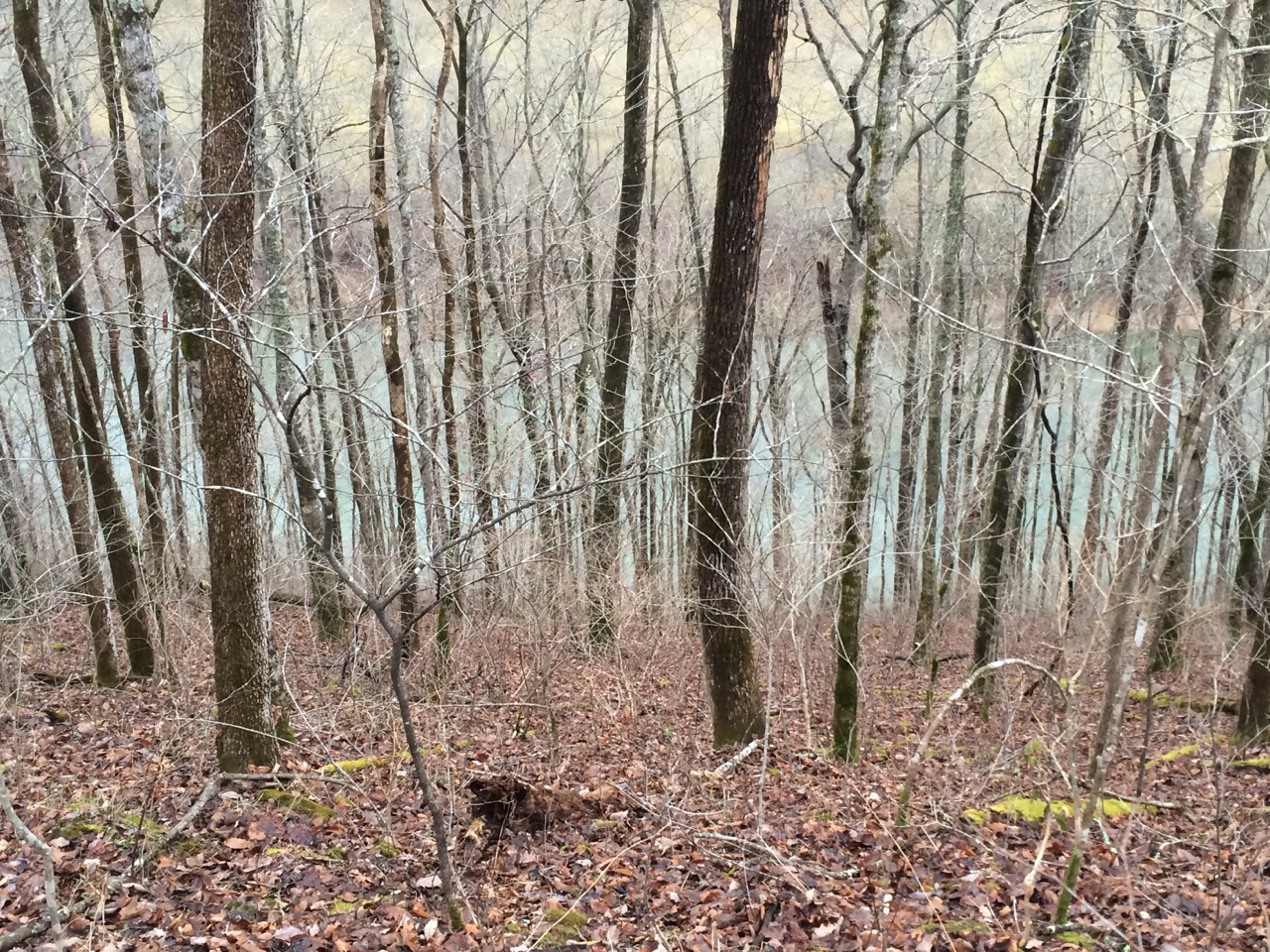 landonlakenorris27 LandStruck