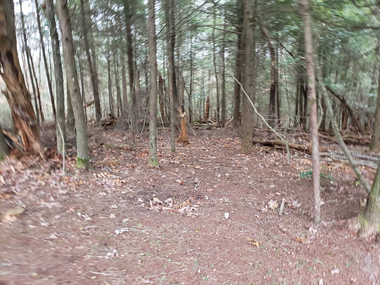 tn_land_with_owner_financing_low_payment_ 16 LandStruck