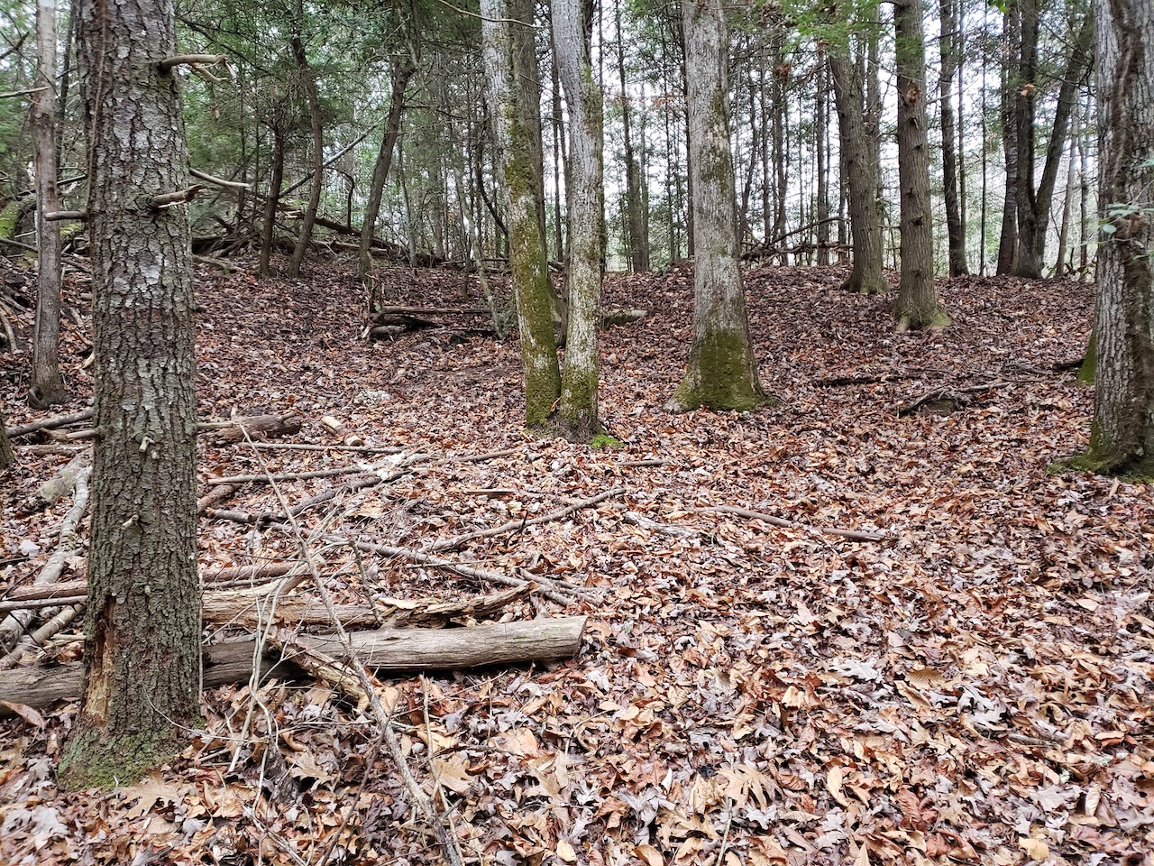 tn_land_with_owner_financing_low_payment_ 17 LandStruck