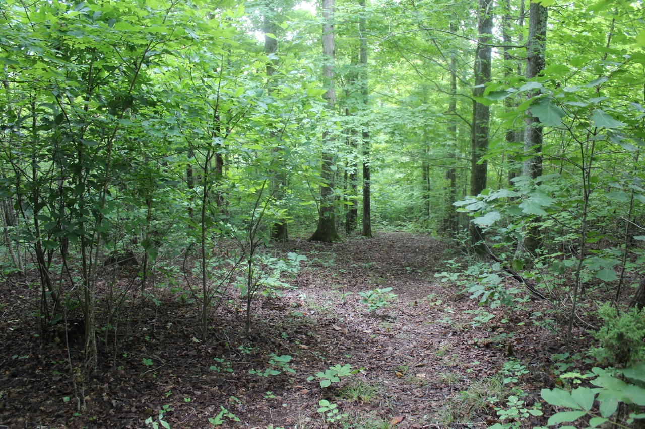 tn_mountain_land_with_financing_15 LandStruck