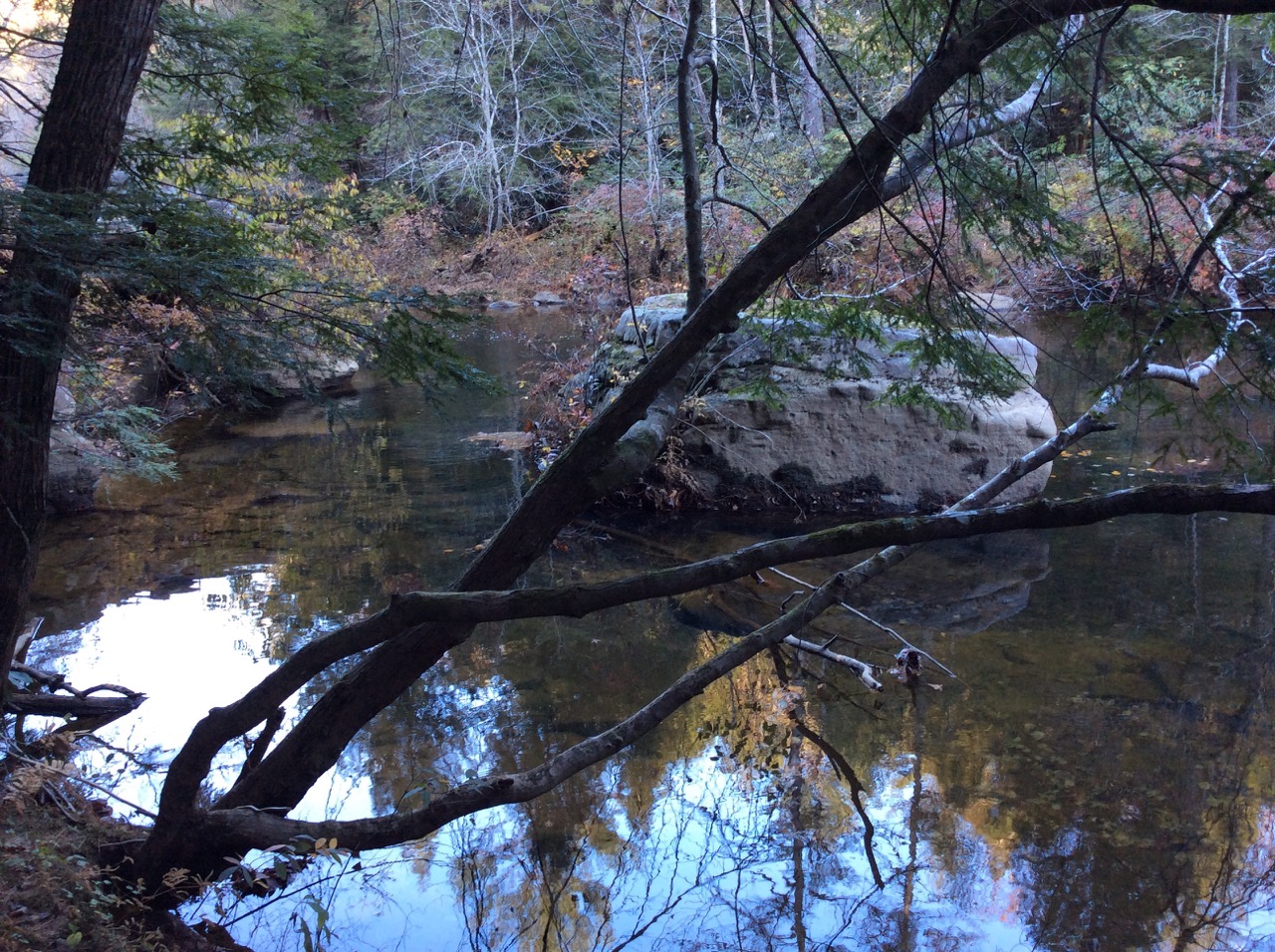 creek_front_tennessee_land_07 LandStruck