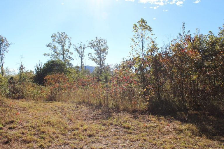 Cheap Unrestricted Land For Sale In Tennessee LandStruck