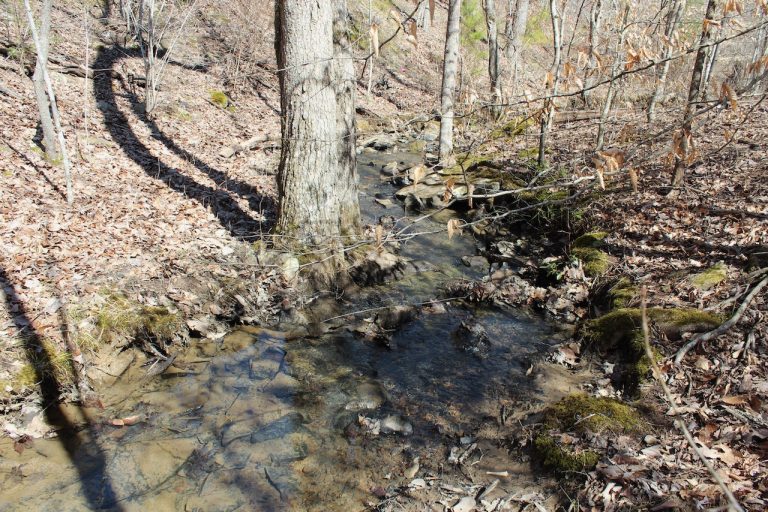 Land With Creek For Sale LandStruck