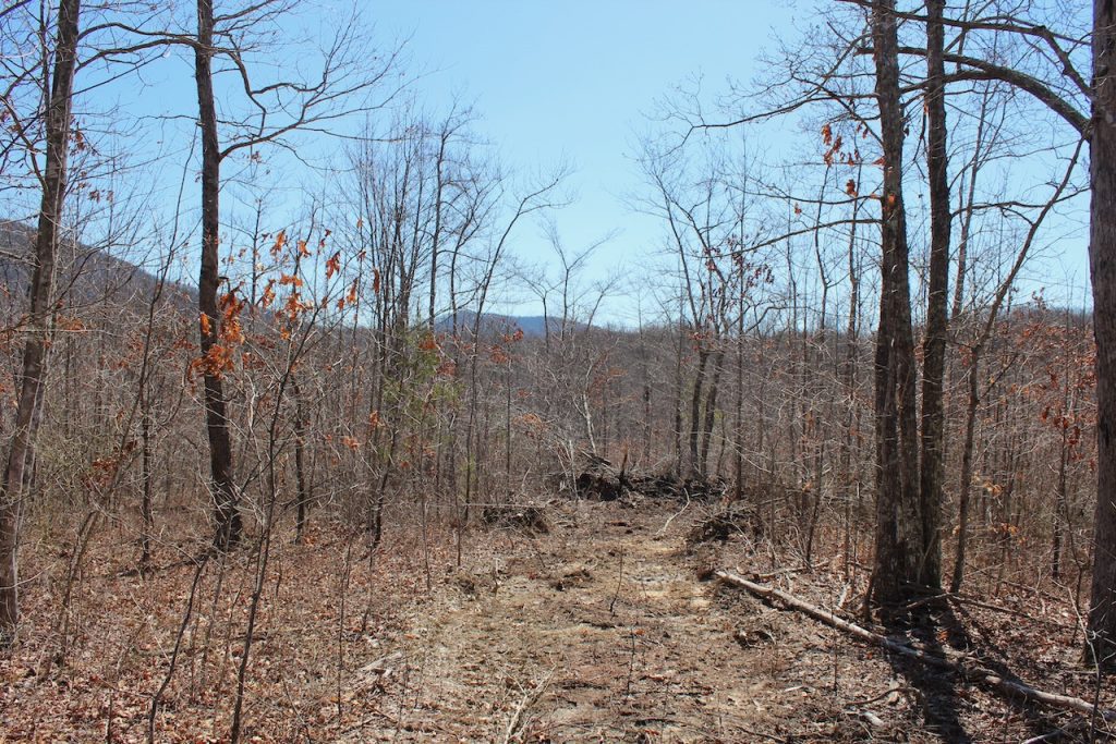 Cheap Unrestricted Land For Sale In Tennessee LandStruck