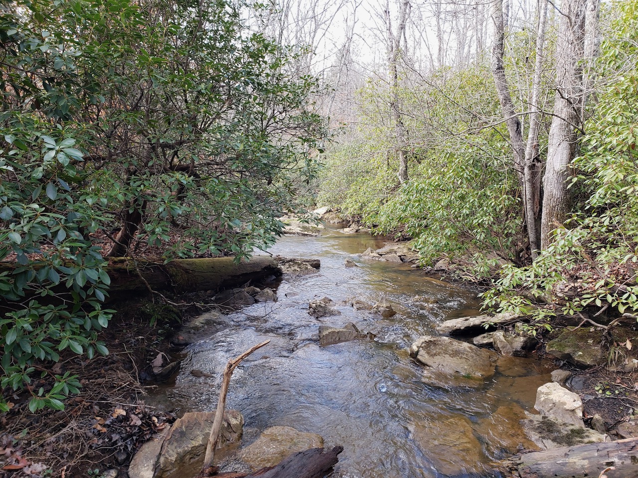 12.56 Acres In East TN With A Creek | GCE-TR55 - LandStruck