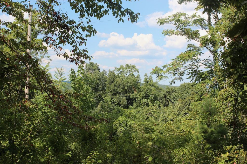 Acreage For Sale In AR LandStruck