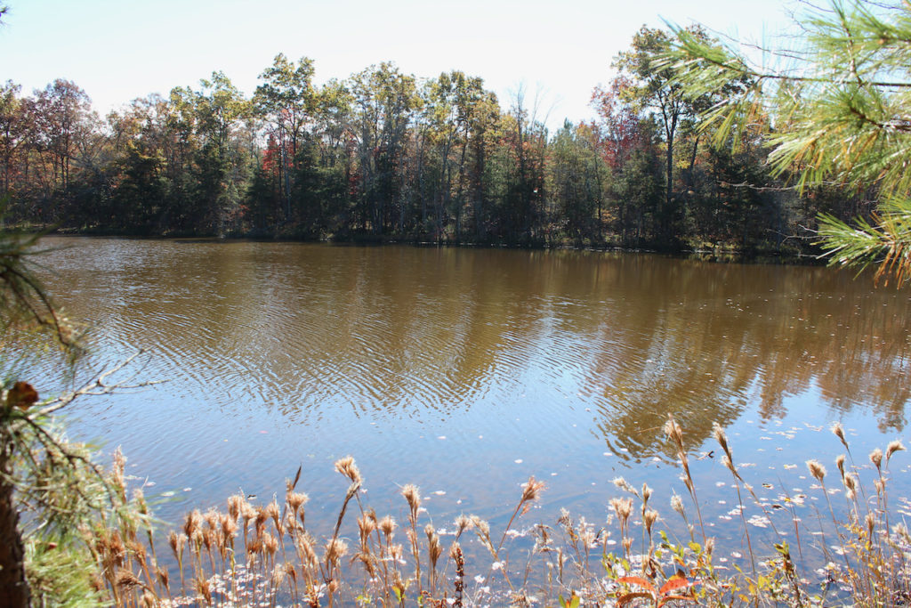 TN Land On A Lake