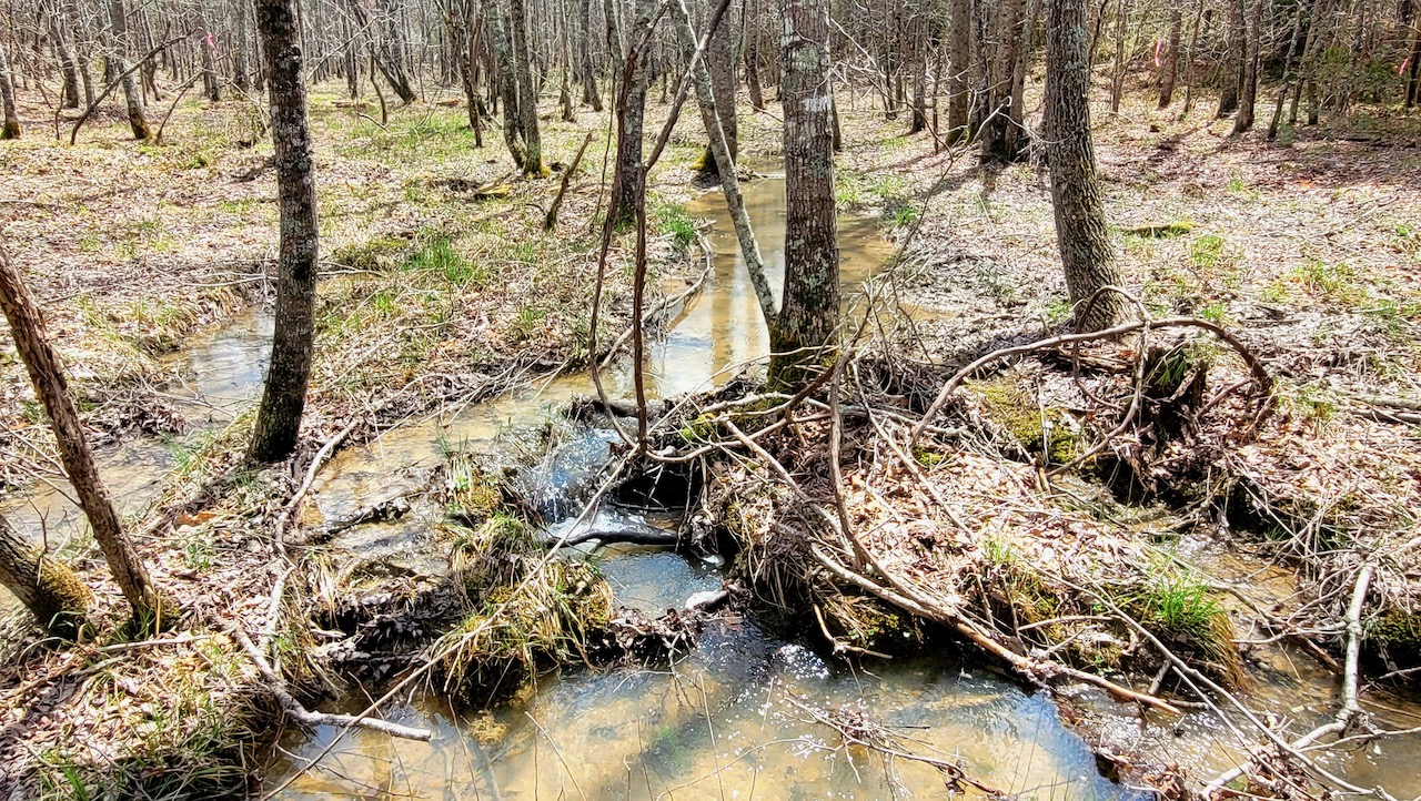Unrestricted Owner Financed Land In Tennessee With Natural Water Source