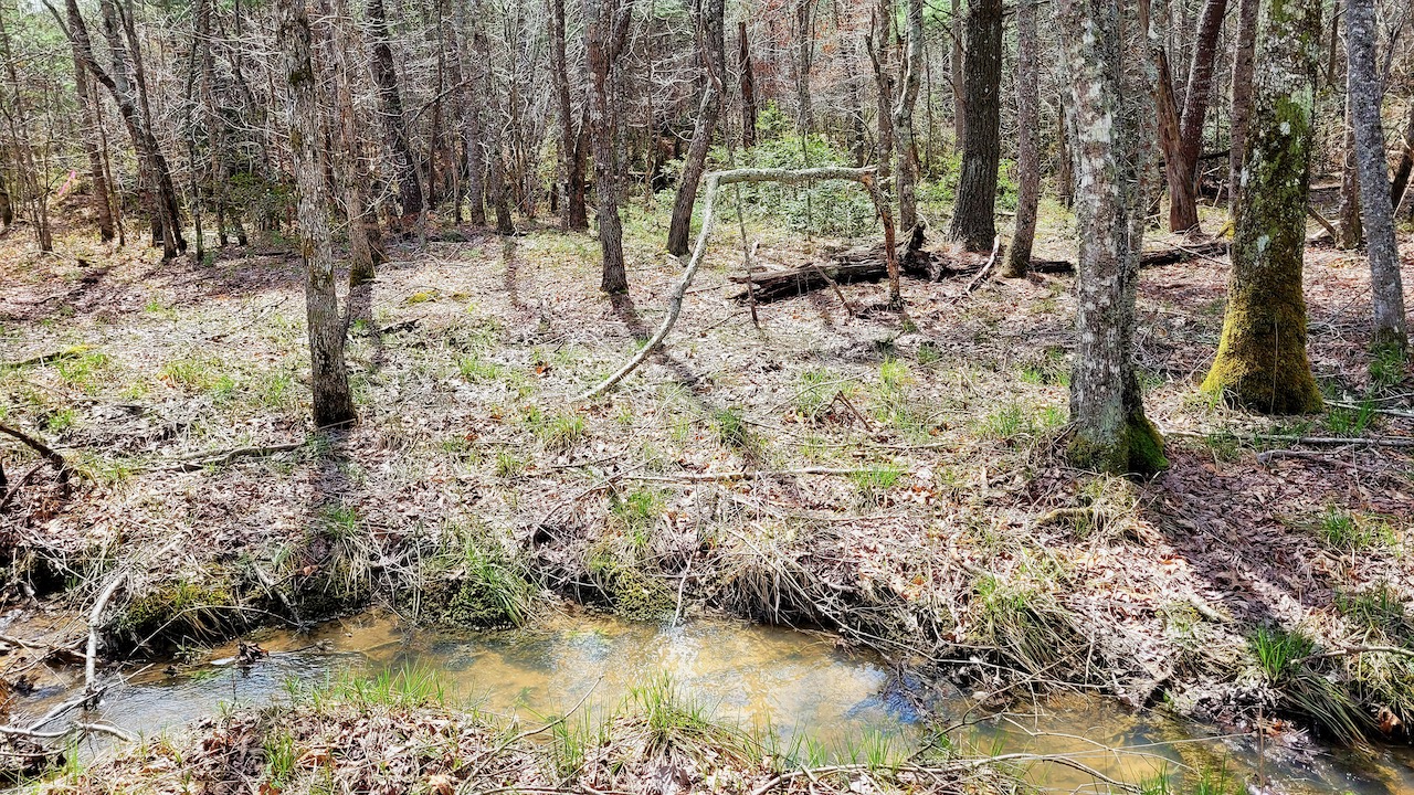 unrestricted_owner_financed_land_in_tn_with_natural_water_source_ 21