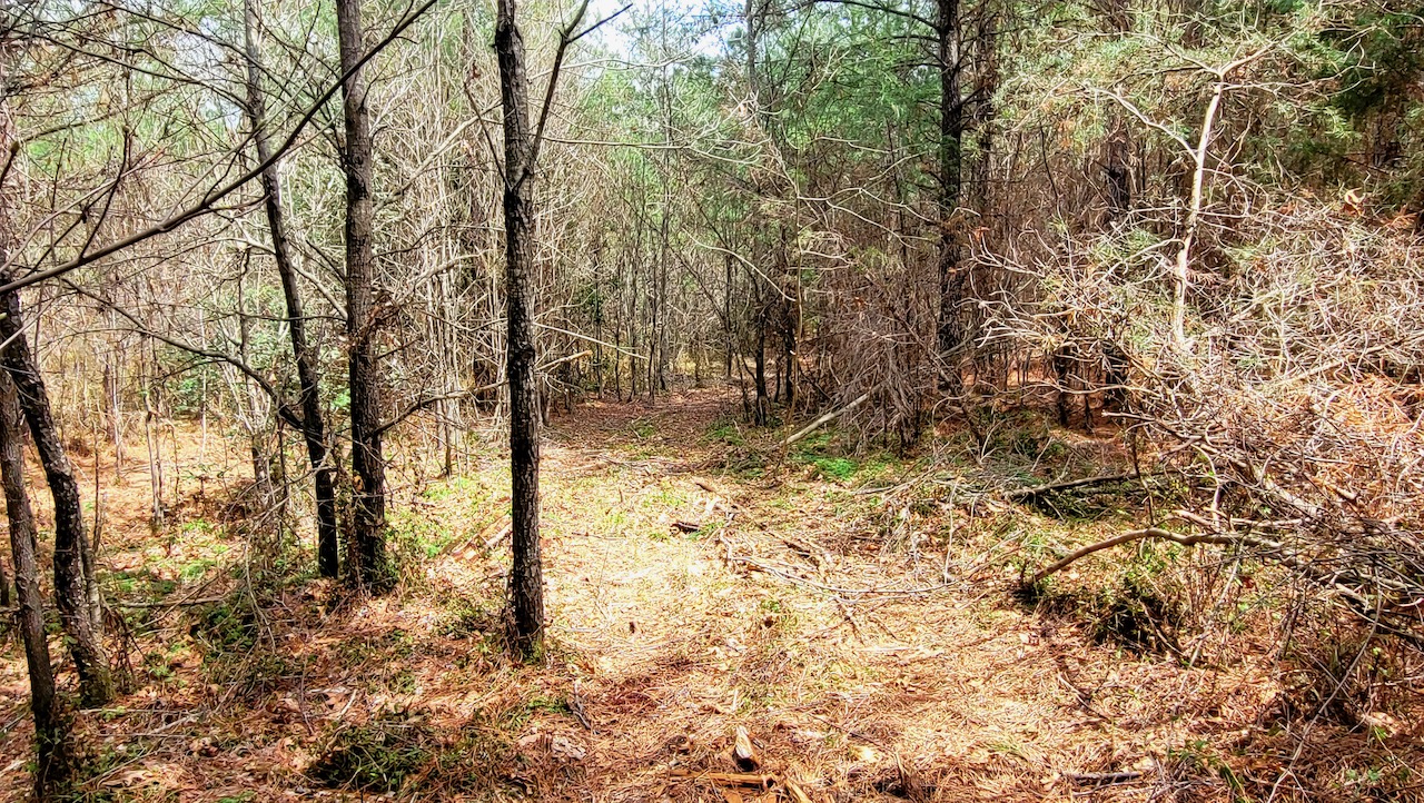 unrestricted_owner_financed_land_in_tn_with_natural_water_source_ 6