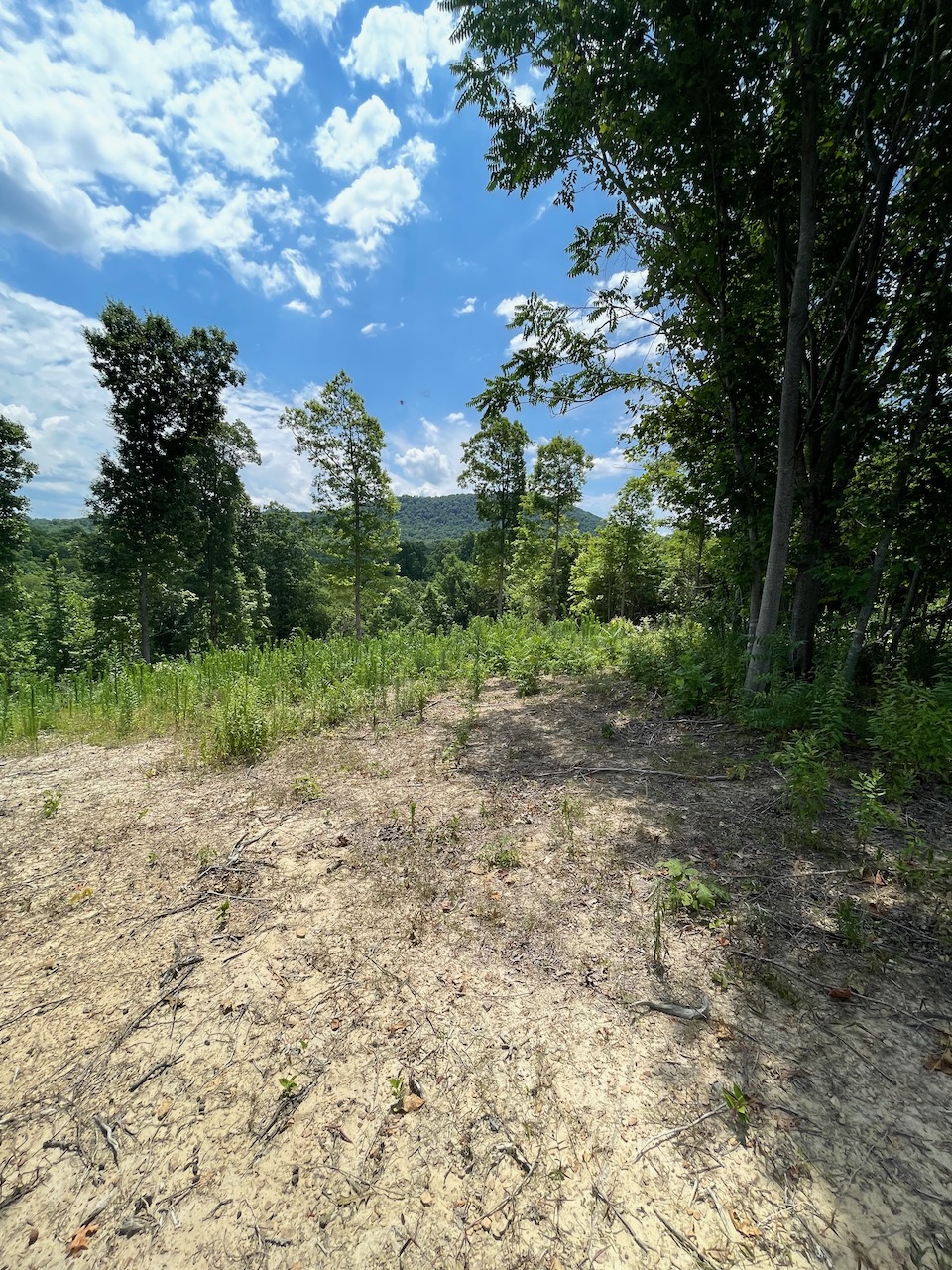 land for sale in tennessee with views 5 LandStruck