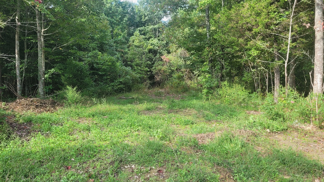 tennessee acreage for sale GCETR24 8 LandStruck