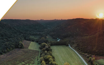 The First Year: Where the Dream Meets the Dirt