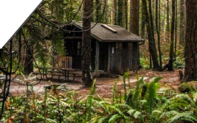 Your Land, Your Rules: Why Ownership Beats Everything Else