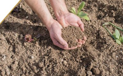 Off-Grid on a Budget: What $25K Can Actually Buy You