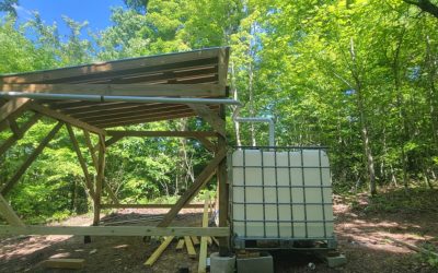 Greywater Systems for Off-Grid Living – A Complete Guide to Recycling Water