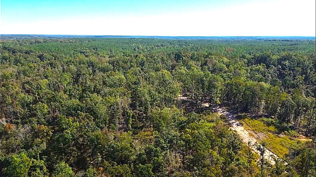 How Many Acres Do You Need? A Guide to 1, 5, 10 & 20 Acres