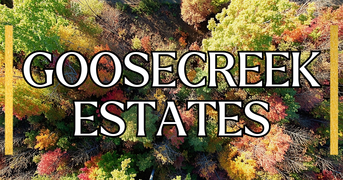 Morgan County Tennessee Land for Sale by Landstruck